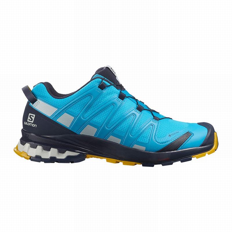 Chaussures De Trail Running Salomon Homme Bleu - Salomon XA PRO 3D V8 GORE-TEX - France (5762-JZPOT)